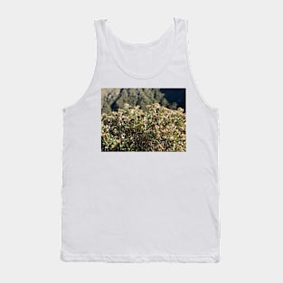 Oleria Tank Top